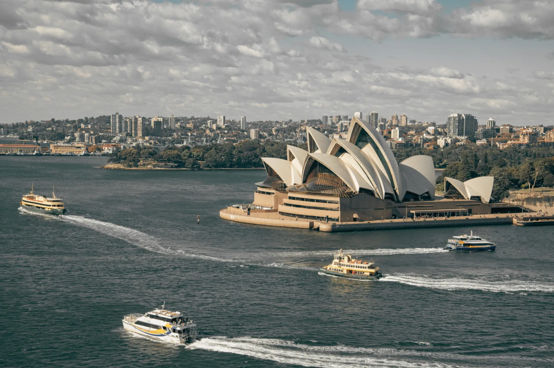 Sydney city and harbor view